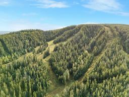 Silver Summit Road, Edmonton, AB T7E3Z5 Photo 12