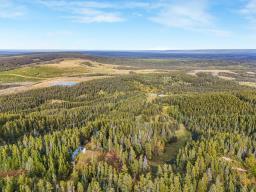 Silver Summit Road, Edmonton, AB T7E3Z5 Photo 15