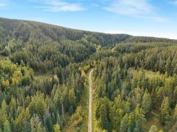 Silver Summit Road, Edmonton, AB T7E3Z5 Photo 19