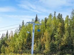 Silver Summit Road, Edmonton, AB T7E3Z5 Photo 37