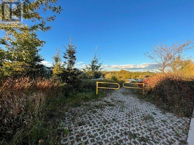 3008 William Cutmore Boulevard — photo 40