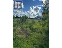 624 Hillhead Road, Kawartha Lakes, ON K0L2X0 Photo 27