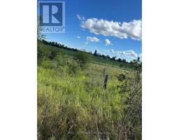 624 Hillhead Road, Kawartha Lakes, ON K0L2X0 Photo 28