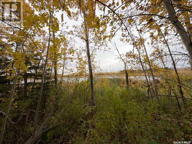 Sully Lot, Cote Rm No. 271 — photo 22