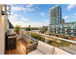 667 - 38 Stadium Road, Toronto, ON M5V3P4 Photo 21