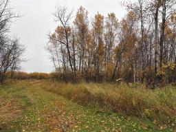 17075 45e Road, Zhoda, MB R0A2P0 Photo 26