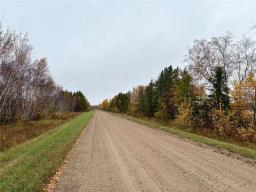17075 45e Road, Zhoda, MB R0A2P0 Photo 38