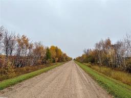 17075 45e Road, Zhoda, MB R0A2P0 Photo 39