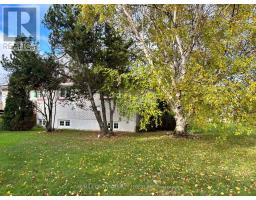 15 Lasalle Avenue, Kapuskasing, ON P5N2R8 Photo 48