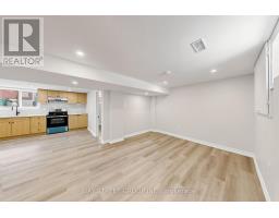 Bsmt - 28 Warren Avenue, Hamilton, ON L9A3C6 Photo 6