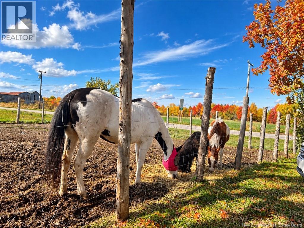 111 Bannister Road - 34