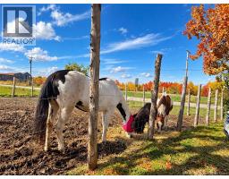 111 Bannister Road, Colpitts Settlement, NB E4J1A3 Photo 34