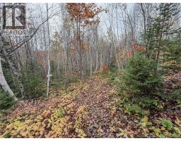 7756 Route 112, Hunters Home, NB E4C4J7 Photo 40