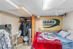 849 Valour Road, Winnipeg, MB R3G3B5 Photo 27