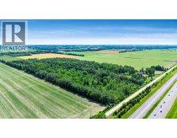 383 South Talbot Road, Kingsville, ON N8M2X5 Photo 46