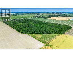 383 South Talbot Road, Kingsville, ON N8M2X5 Photo 49