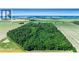 383 South Talbot Road, Kingsville, ON N8M2X5 Photo 50