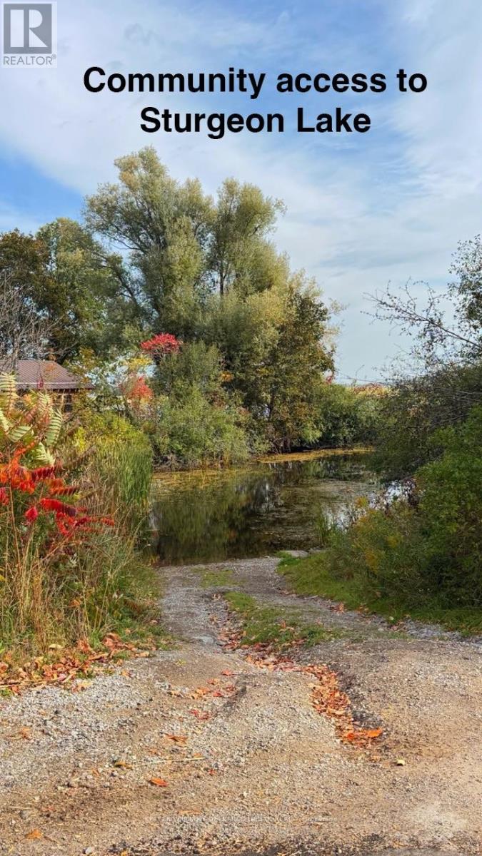 39 Butternut Drive — photo 43