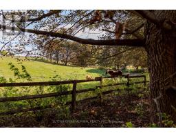 8400 19th Sideroad, King, ON L0G1T0 Photo 35