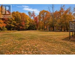 7533 County Road 10, Essa, ON L3W0T7 Photo 24
