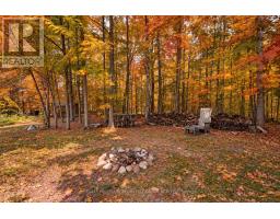 7533 County Road 10, Essa, ON L3W0T7 Photo 25