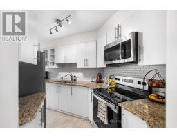 241 Lyon Street N, Ottawa, ON K1R1B4 Photo 7