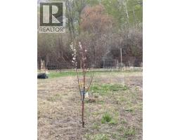 1911 Osprey Lane, Cawston, BC V0C1C1 Photo 20