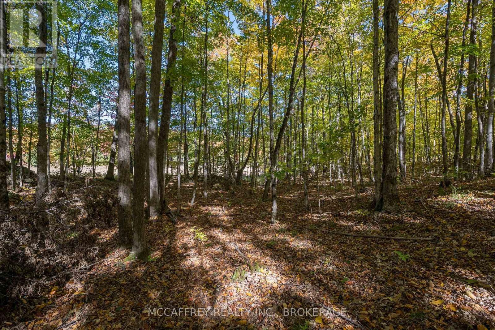 0 Clear Lake Road — photo 32