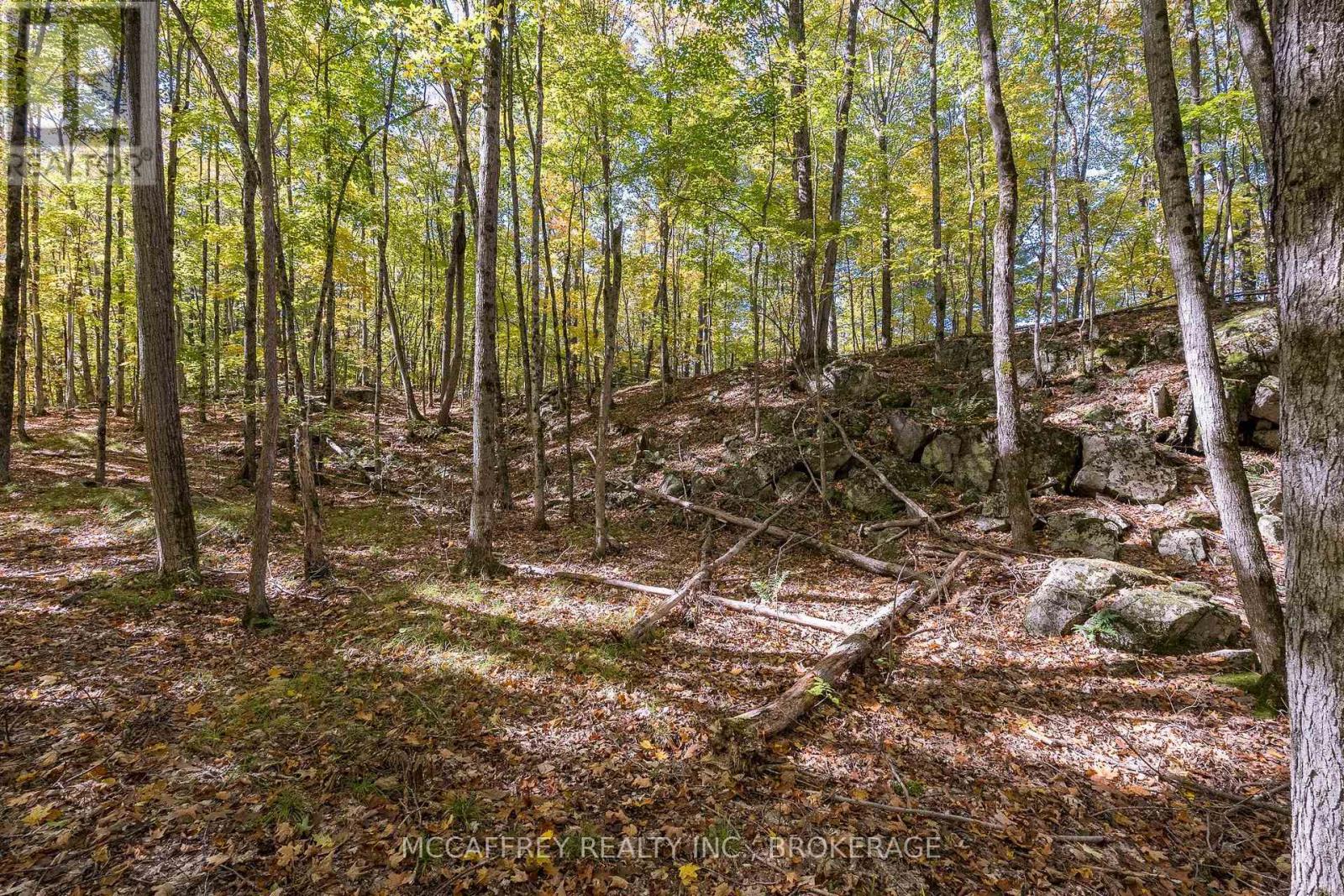 0 Clear Lake Road — photo 36