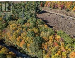 0 Clear Lake Road, Rideau Lakes, ON K0G1E0 Photo 18