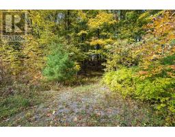0 Clear Lake Road, Rideau Lakes, ON K0G1E0 Photo 28