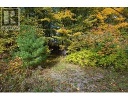 0 Clear Lake Road, Rideau Lakes, ON K0G1E0 Photo 29