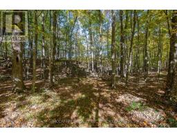 0 Clear Lake Road, Rideau Lakes, ON K0G1E0 Photo 31