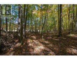 0 Clear Lake Road, Rideau Lakes, ON K0G1E0 Photo 32