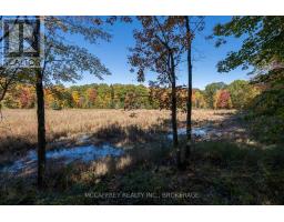 0 Clear Lake Road, Rideau Lakes, ON K0G1E0 Photo 35