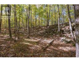 0 Clear Lake Road, Rideau Lakes, ON K0G1E0 Photo 36