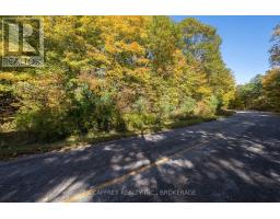 0 Clear Lake Road, Rideau Lakes, ON K0G1E0 Photo 37