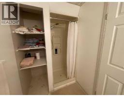 1915 17 Street, Didsbury, AB T0M0W0 Photo 19