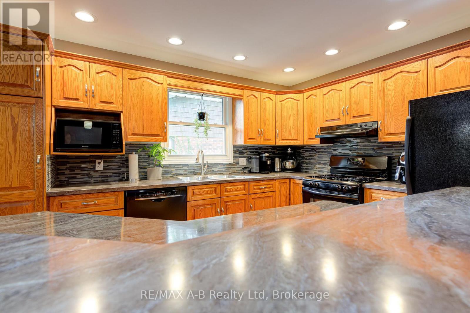 224 MORENZ DRIVE - 12