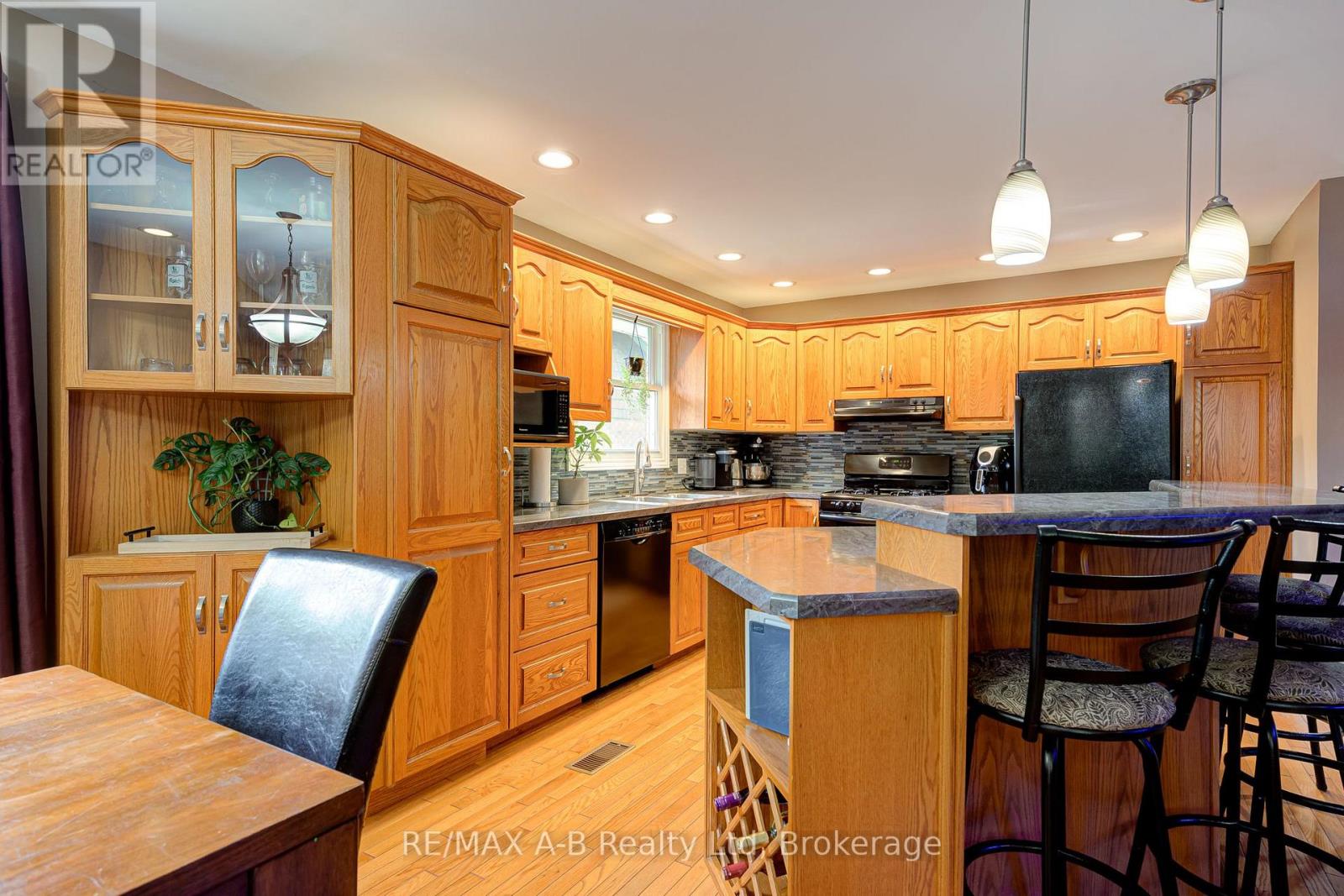224 MORENZ DRIVE - 14