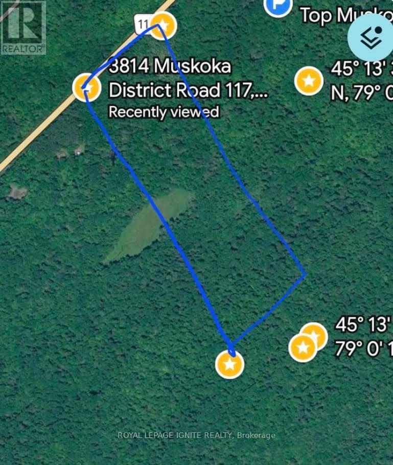 117 - 0 HIGHWAY, Lake of Bays (Ridout)