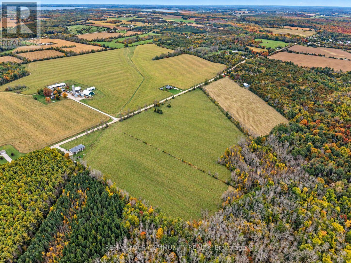 4165 Concession 12 Road, Ramara, ON photo 9