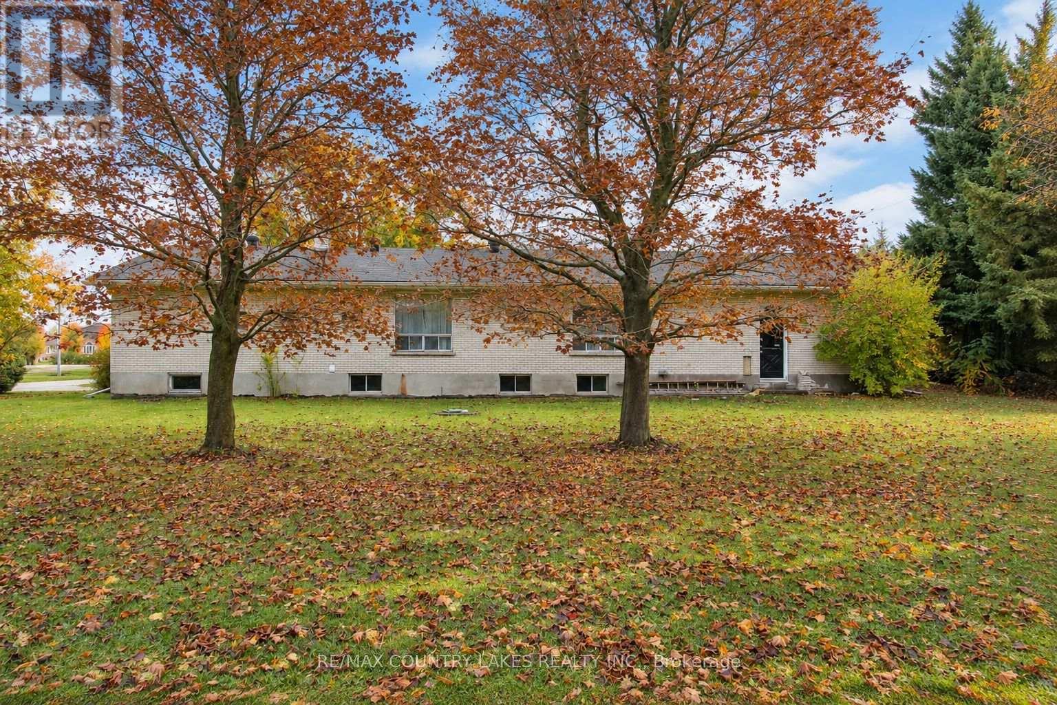 1598 COUNTY RD 46, Kawartha Lakes (Woodville) — photo 4