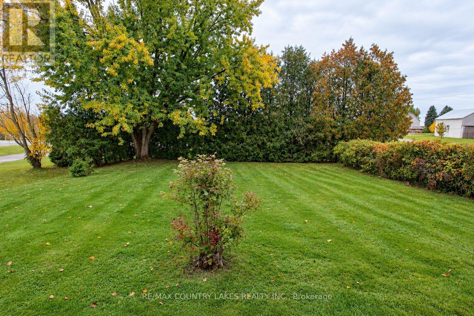 1598 COUNTY RD 46, Kawartha Lakes (Woodville) — photo 7