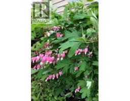 421 Poets Trail Dr, Nanaimo, BC V9R7B1 Photo 36