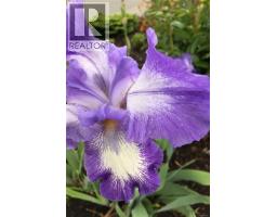 421 Poets Trail Dr, Nanaimo, BC V9R7B1 Photo 37