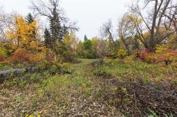 2946 Henderson Highway, East St Paul, MB R2E0C6 Photo 37