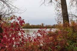 2946 Henderson Highway, East St Paul, MB R2E0C6 Photo 38