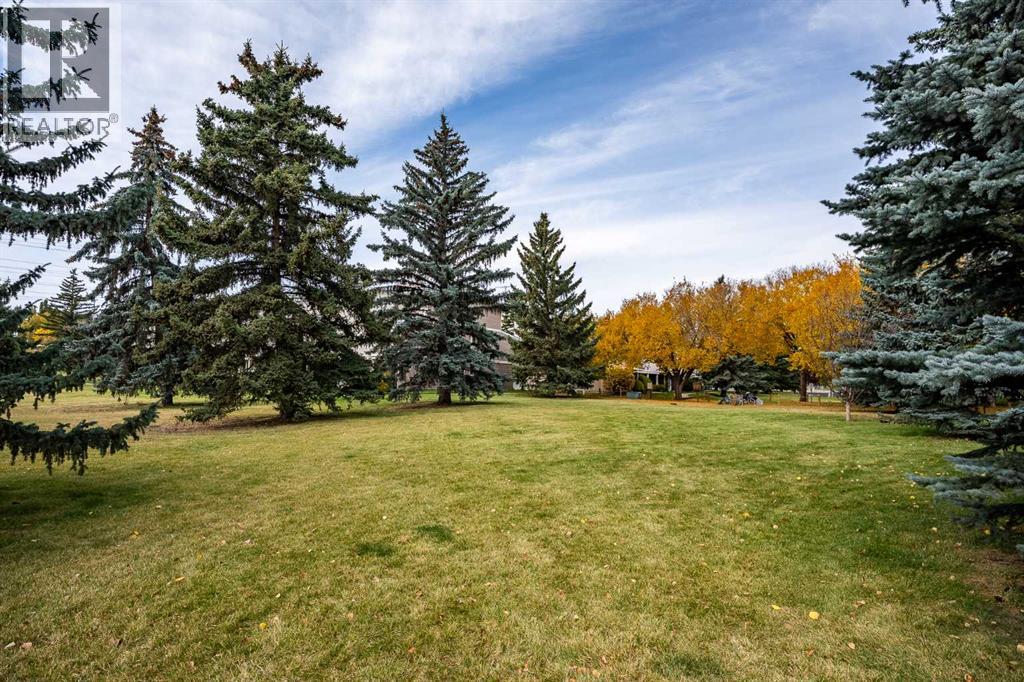 #24 3015 51 Street SW - 30
