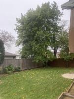 27 Whidden Gate, Winnipeg, MB R3P1Y1 Photo 23
